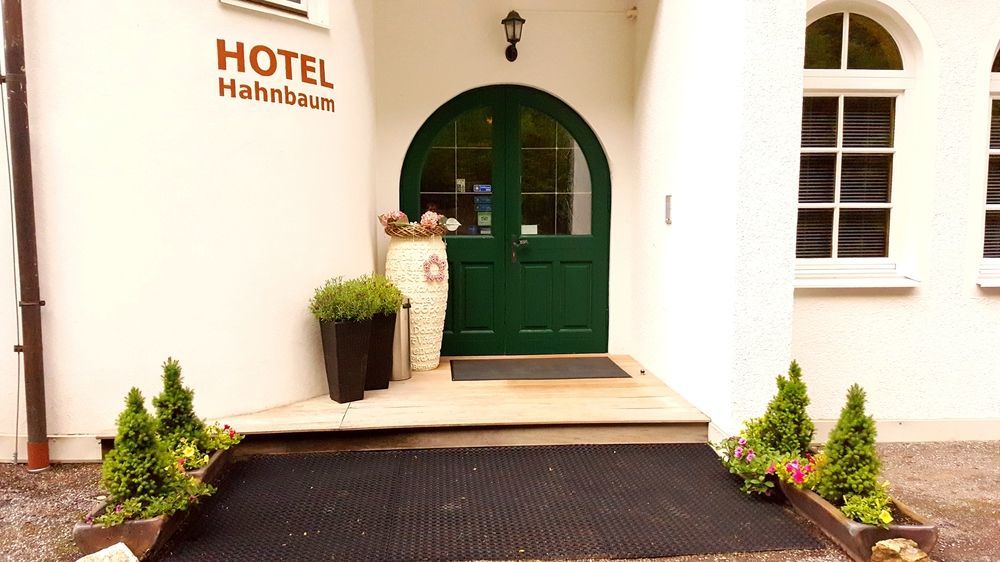 Hotel Hahnbaum Sankt Johann im Pongau Eksteriør billede